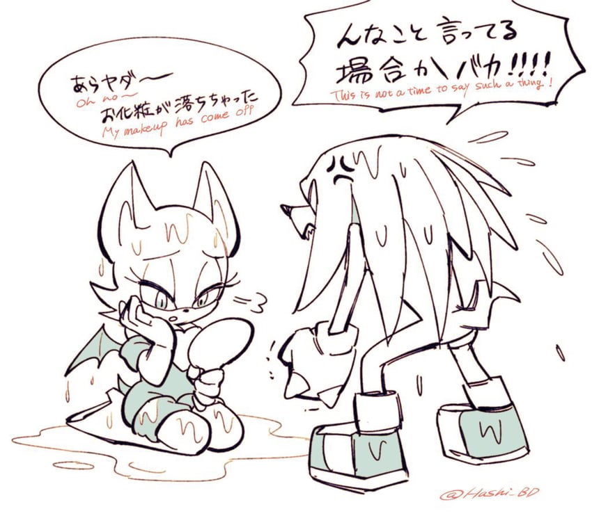 rouge the bat and knuckles the echidna (sonic) drawn by hashi84e