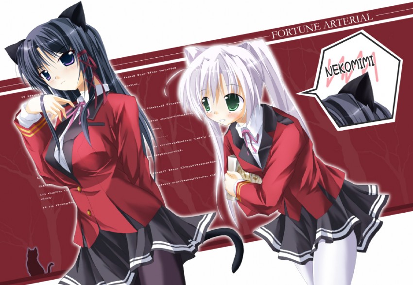 tougi shiro and kuze kiriha (fortune arterial) drawn by shippo_danshaku