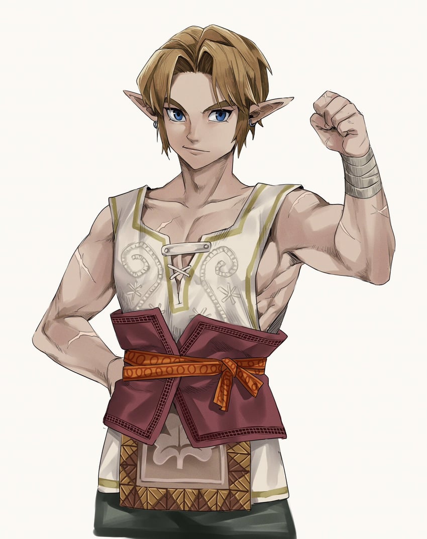 link (the legend of zelda and 1 more) drawn by sushisalmon95