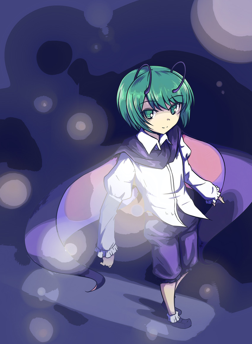 wriggle nightbug (touhou) drawn by shio_(futatsumami)