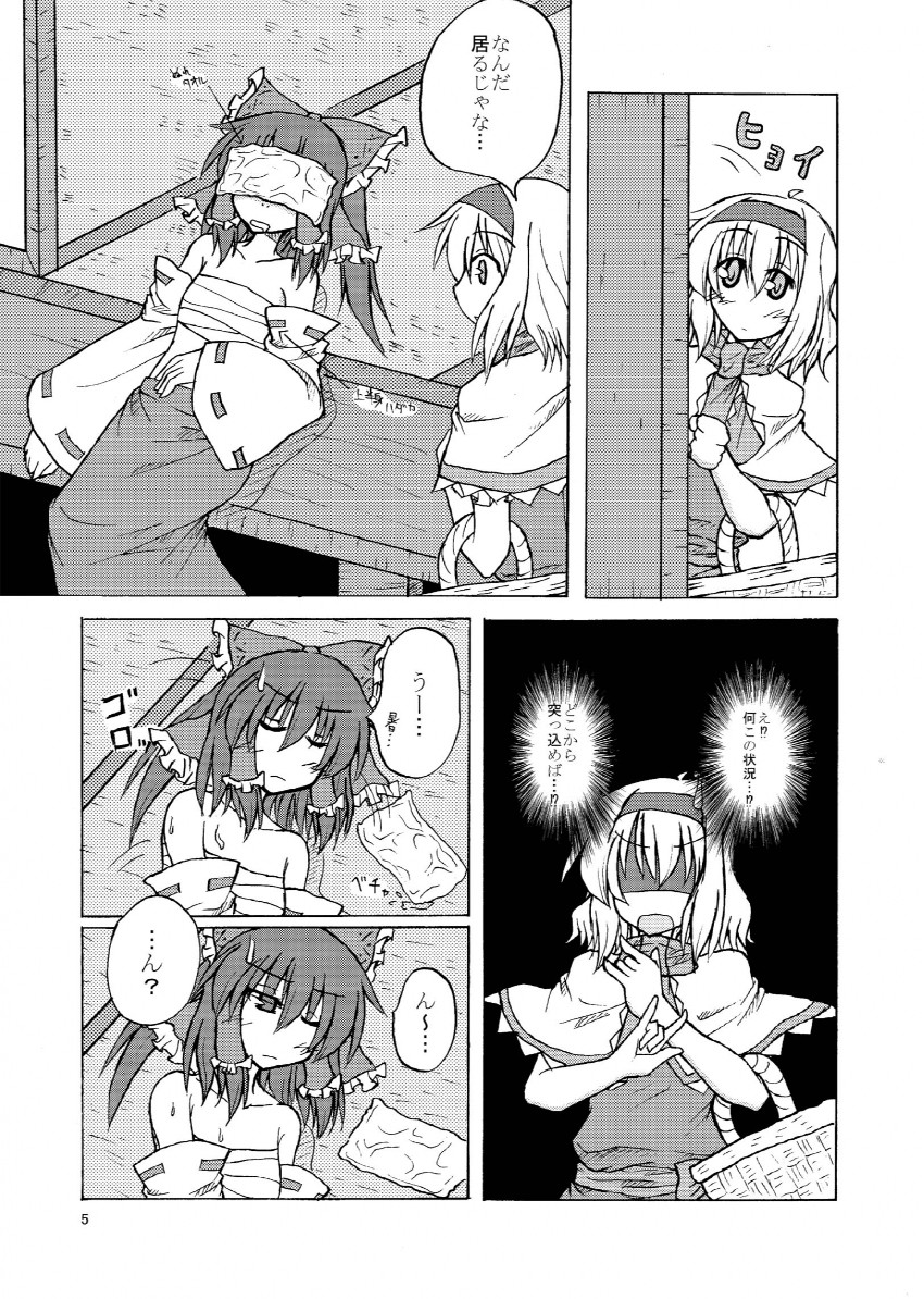 hakurei reimu and alice margatroid (touhou) drawn by kaya_rio