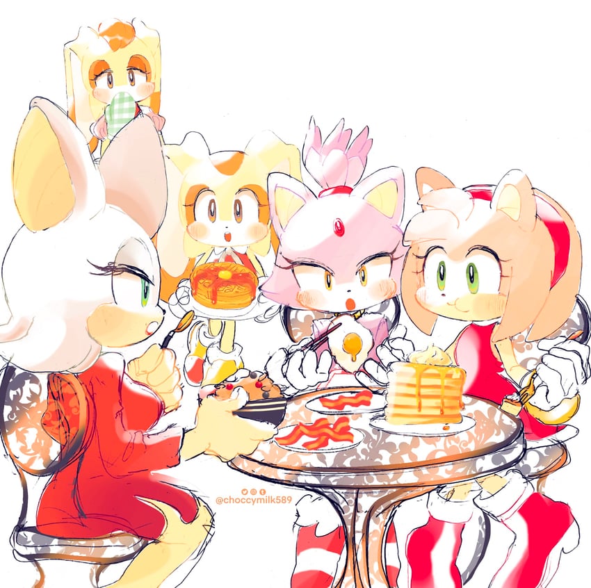 amy rose, blaze the cat, rouge the bat, cream the rabbit, and vanilla the rabbit (sonic) drawn by choccymilk589