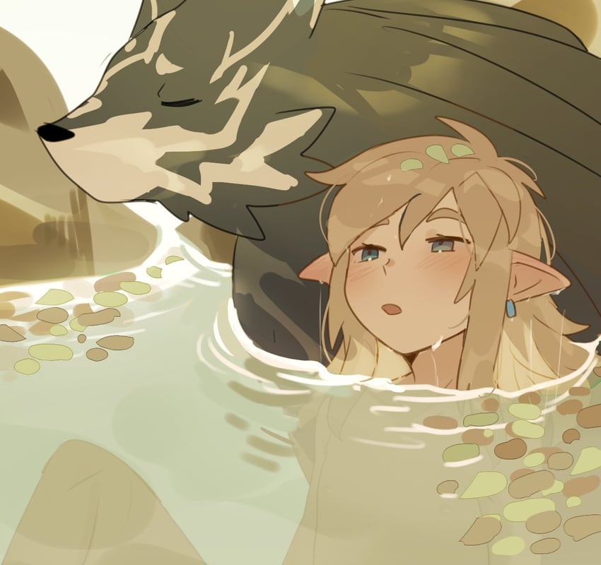 link and wolf link (the legend of zelda and 2 more) drawn by suikaels