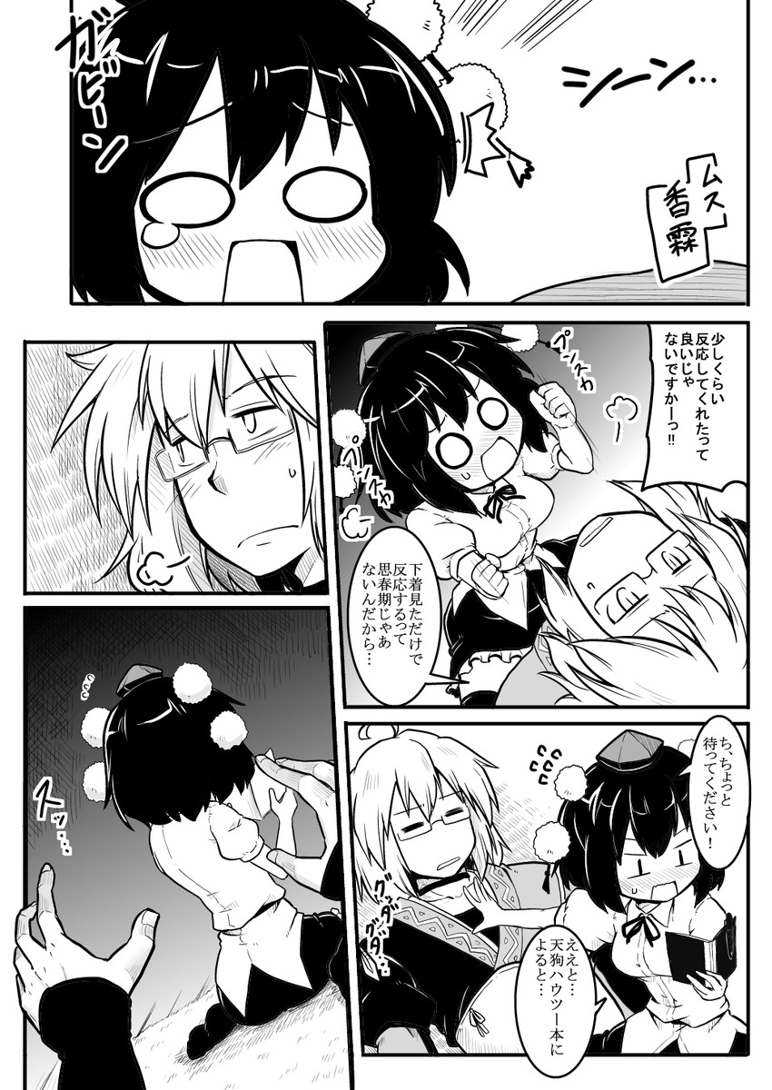 shameimaru aya and morichika rinnosuke (touhou) drawn by futa_(nabezoko)