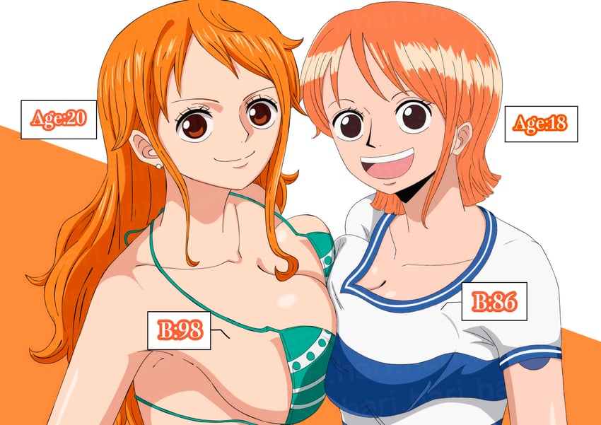 nami (one piece) drawn by hari_official