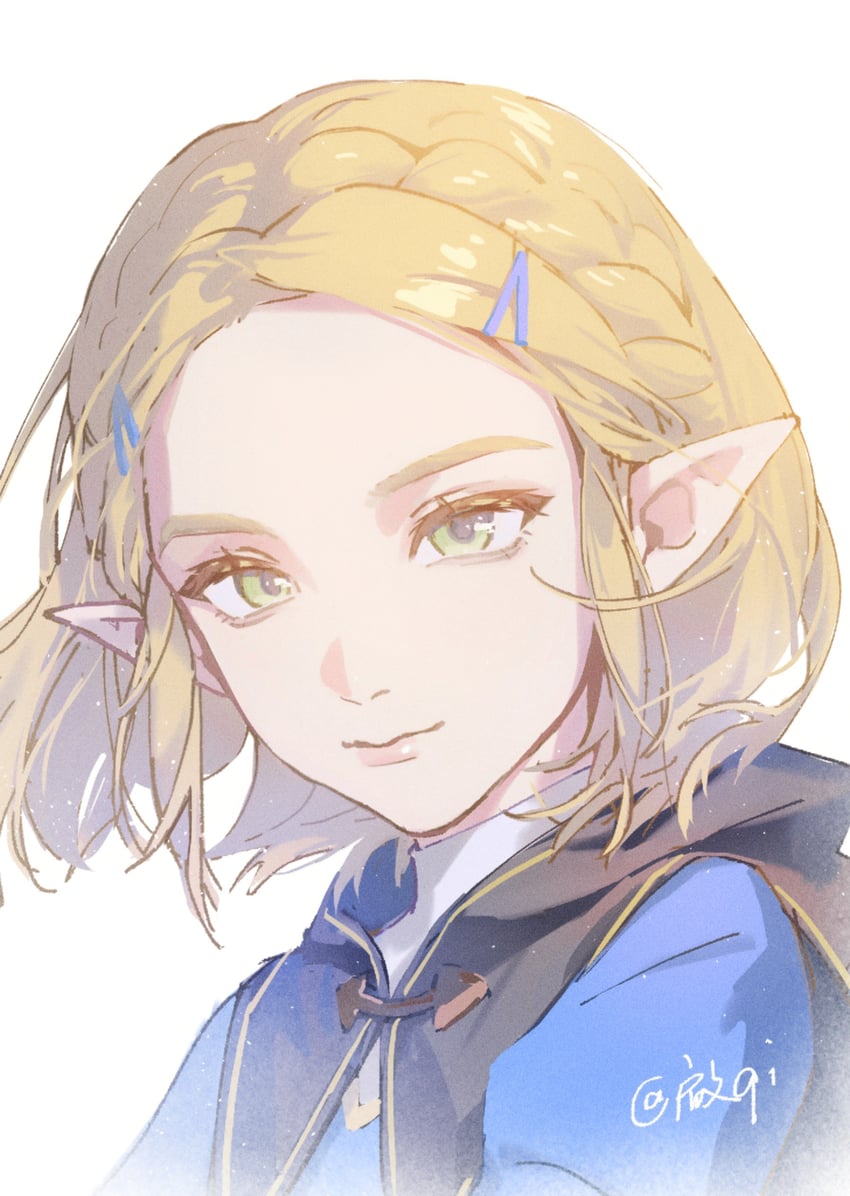 princess zelda (the legend of zelda and 1 more) drawn by qi_buge