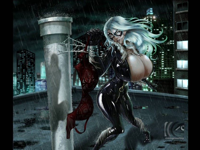 spider-man, black cat, and felicia hardy (marvel and 1 more) drawn by mangrowing