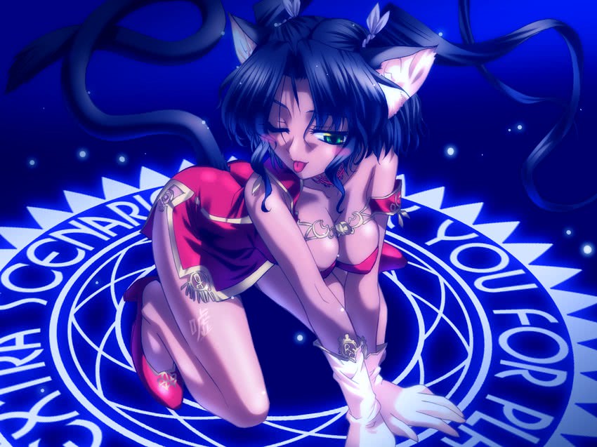 aisha scarlet yang (sapphism no gensou) drawn by koume_keito