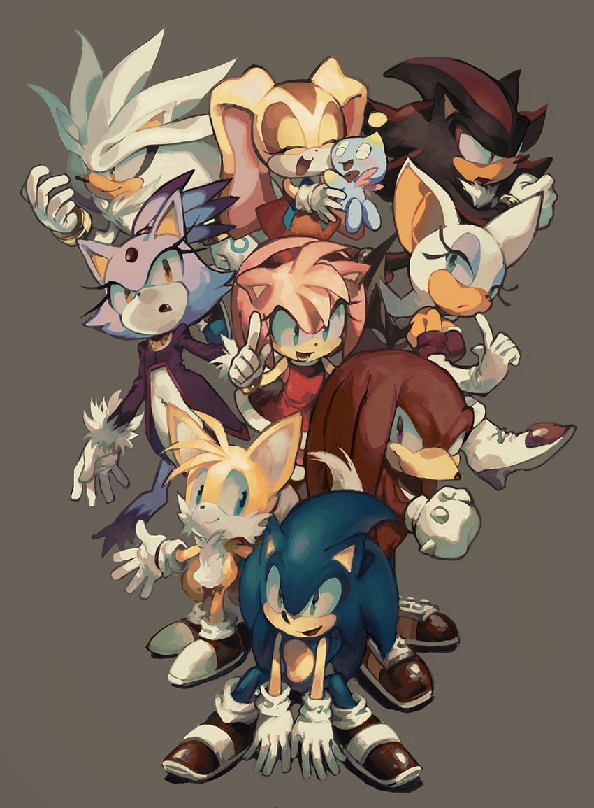 sonic the hedgehog, amy rose, blaze the cat, shadow the hedgehog, rouge the bat, and 6 more (sonic) drawn by aoki_(fumomo)