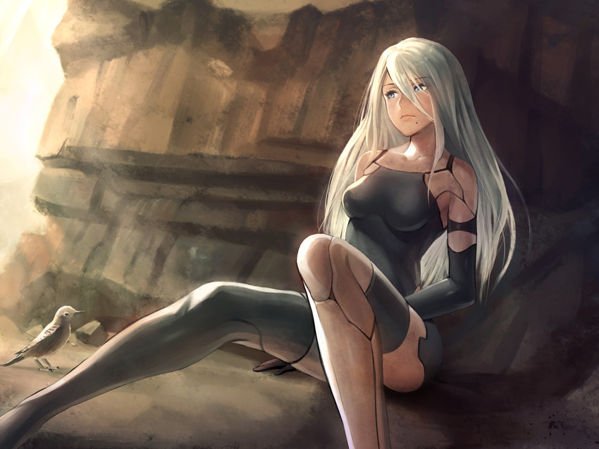 a2 (nier and 1 more) drawn by gogo_(detteiu_de)