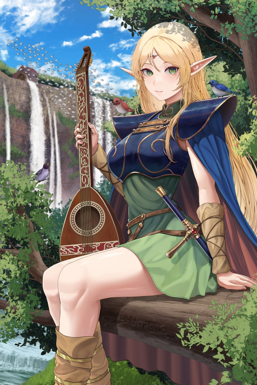 deedlit (record of lodoss war) drawn by silvertsuki