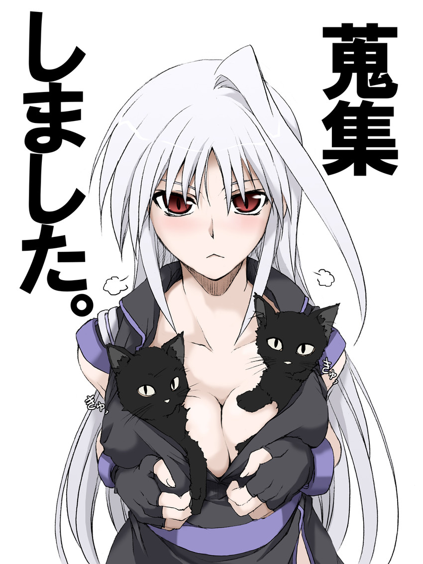 reinforce (lyrical nanoha and 3 more) drawn by elf_(stroll_in_the_woods)