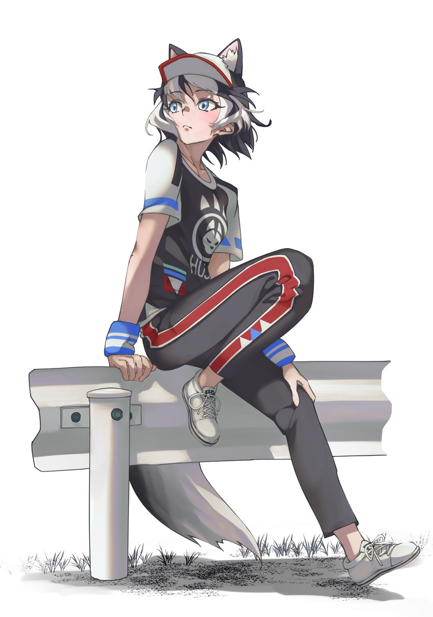 siberian husky (kemono friends and 1 more) drawn by tanabe_(fueisei)