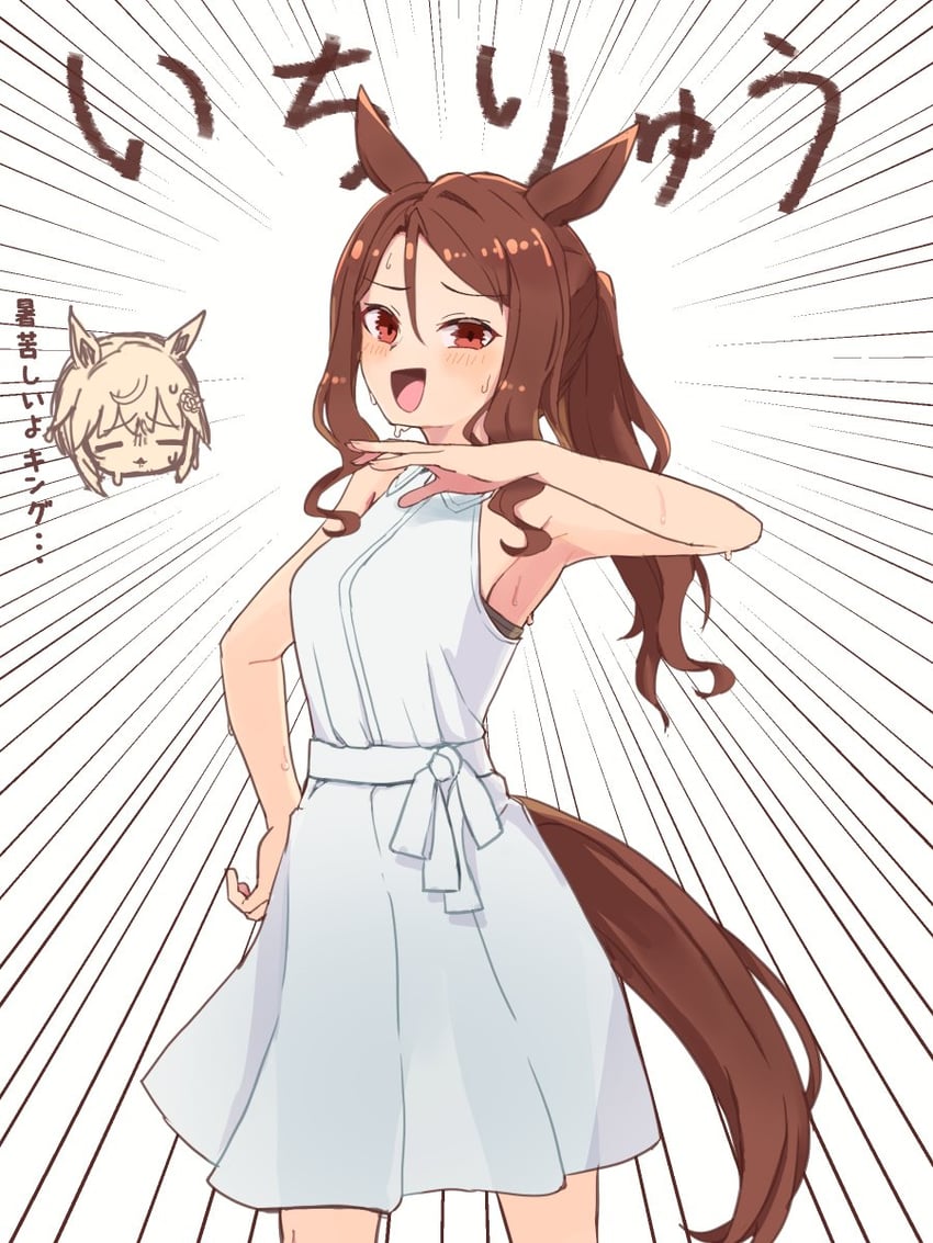 king halo and seiun sky (umamusume) drawn by suiro_no_sakana