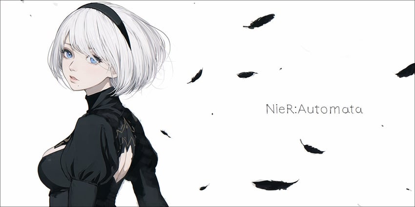 2b (nier and 1 more) drawn by d.k