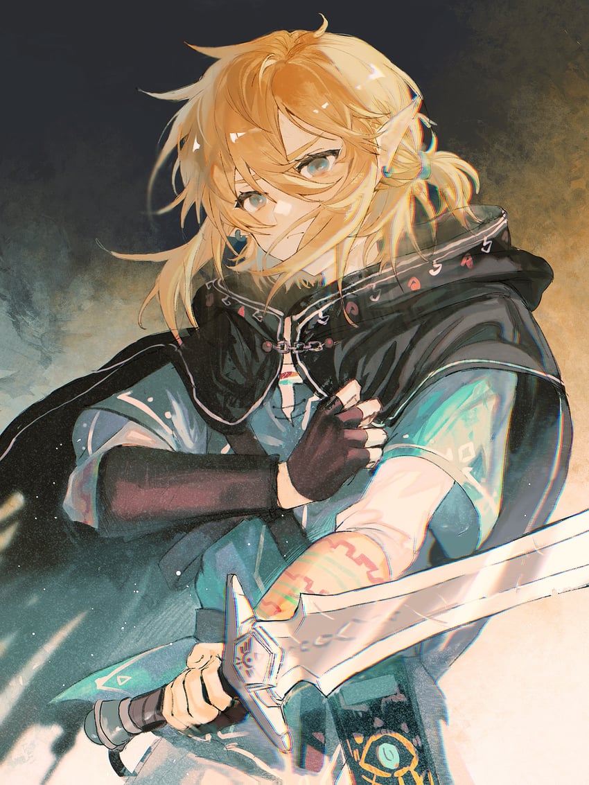link (the legend of zelda and 1 more) drawn by brk93