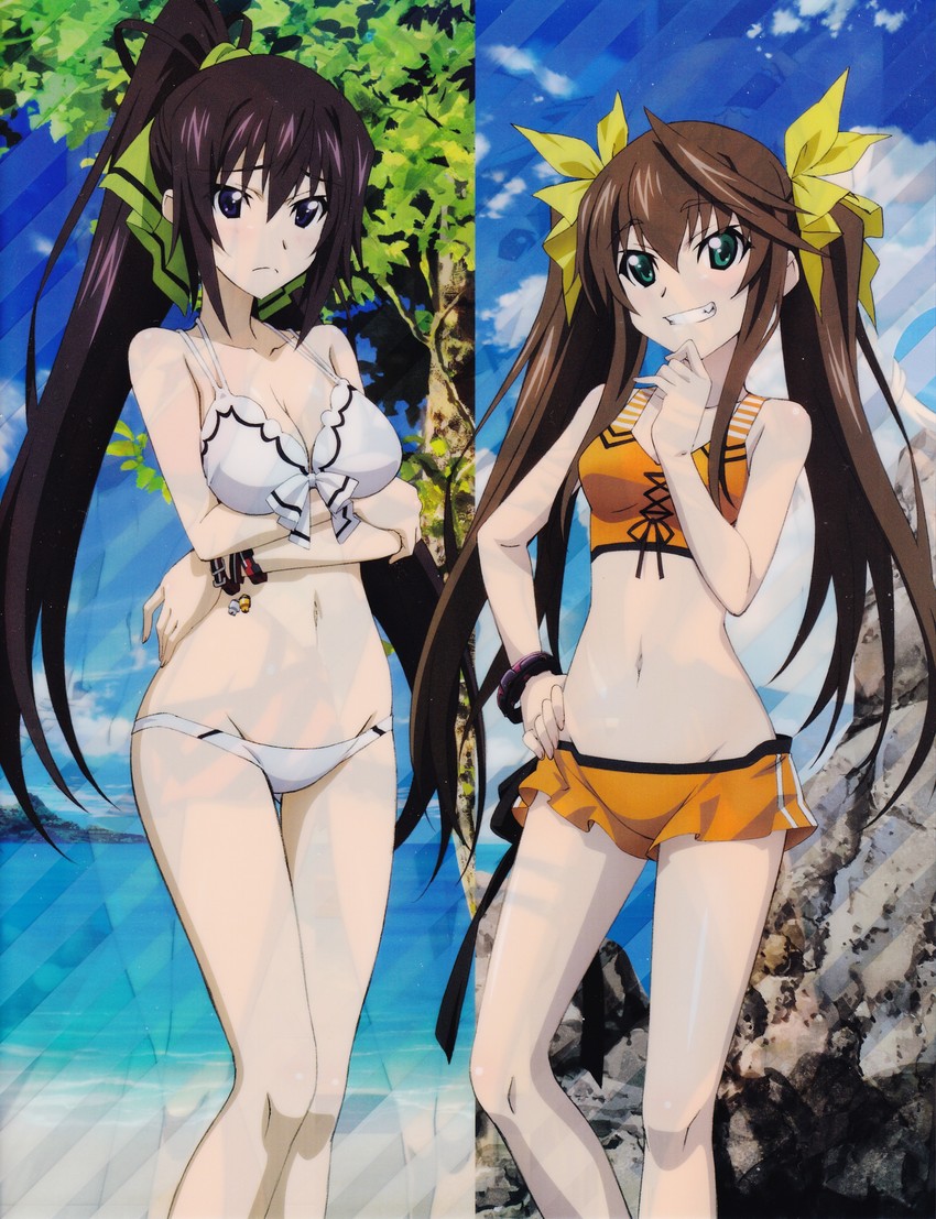 shinonono houki and huang lingyin (infinite stratos) drawn by hashimoto_takayoshi