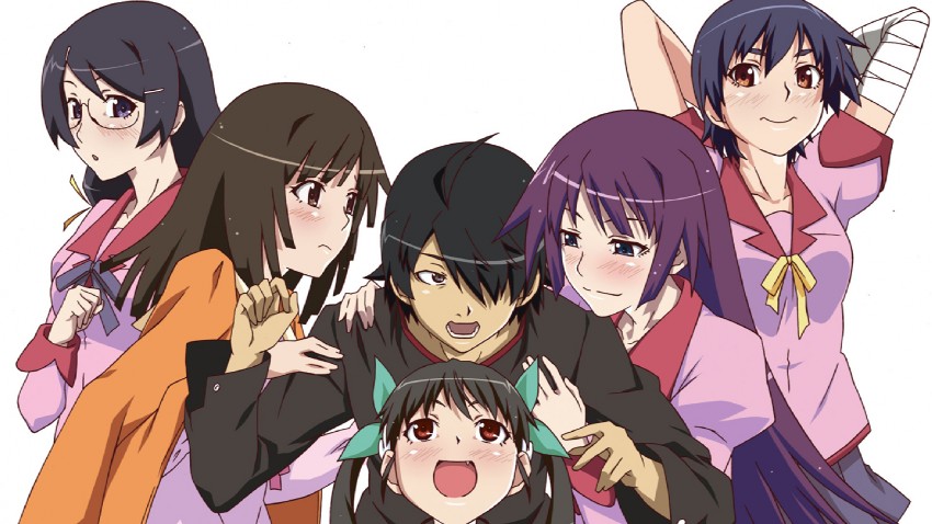 senjougahara hitagi, hanekawa tsubasa, sengoku nadeko, hachikuji mayoi, araragi koyomi, and 1 more (monogatari and 2 more) drawn by tsurugi_(artist)