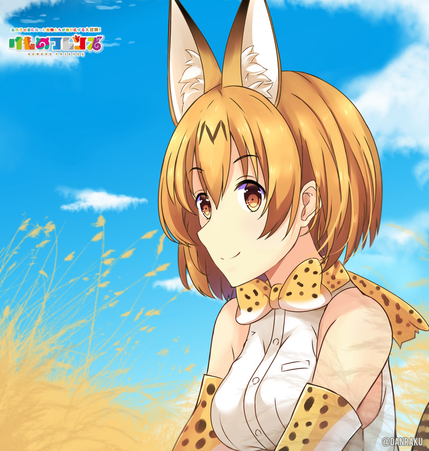 serval (kemono friends) drawn by danraku