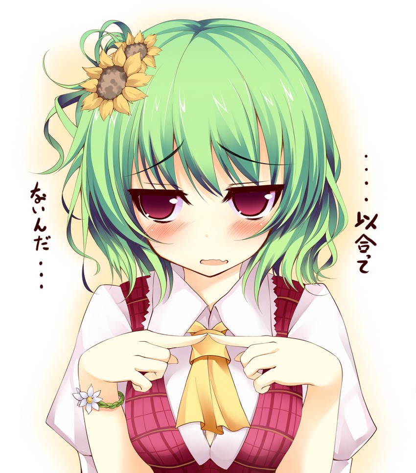 kazami yuuka (touhou) drawn by kusano_(torisukerabasu)