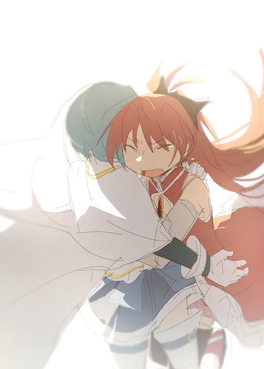 miki sayaka and sakura kyoko (mahou shoujo madoka magica) drawn by sorghum39919263