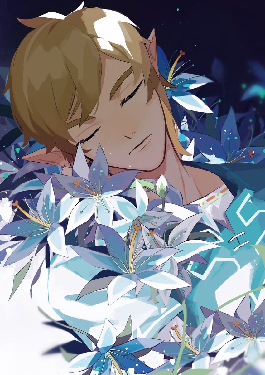 link (the legend of zelda and 1 more) drawn by pisu_1107