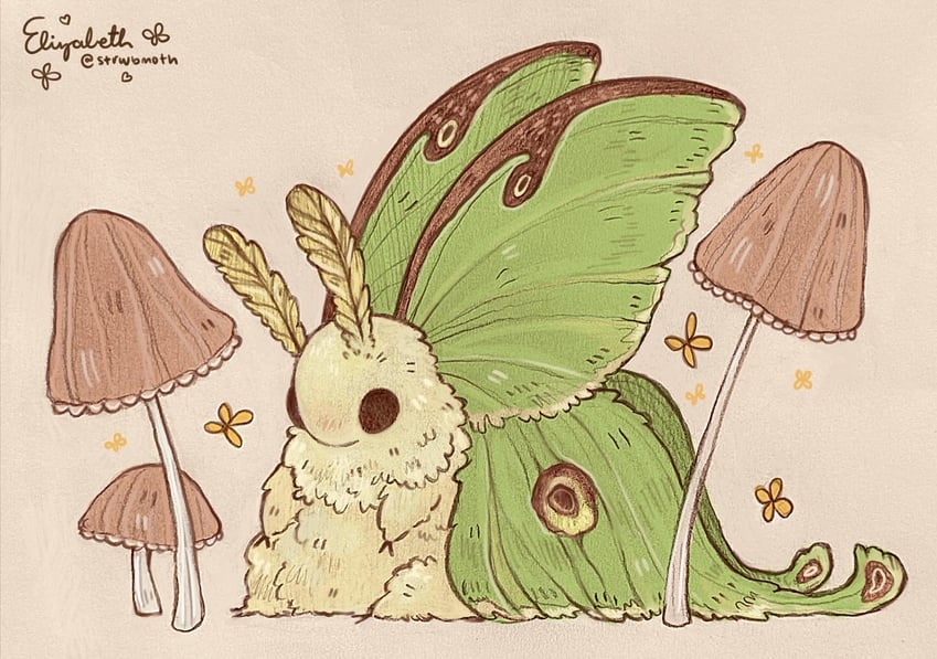 original drawn by elizabeth_(strwbmoth)