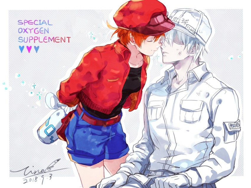white blood cell, red blood cell, ae-3803, and u-1146 (hataraku saibou) drawn by tina_(tinashan2)