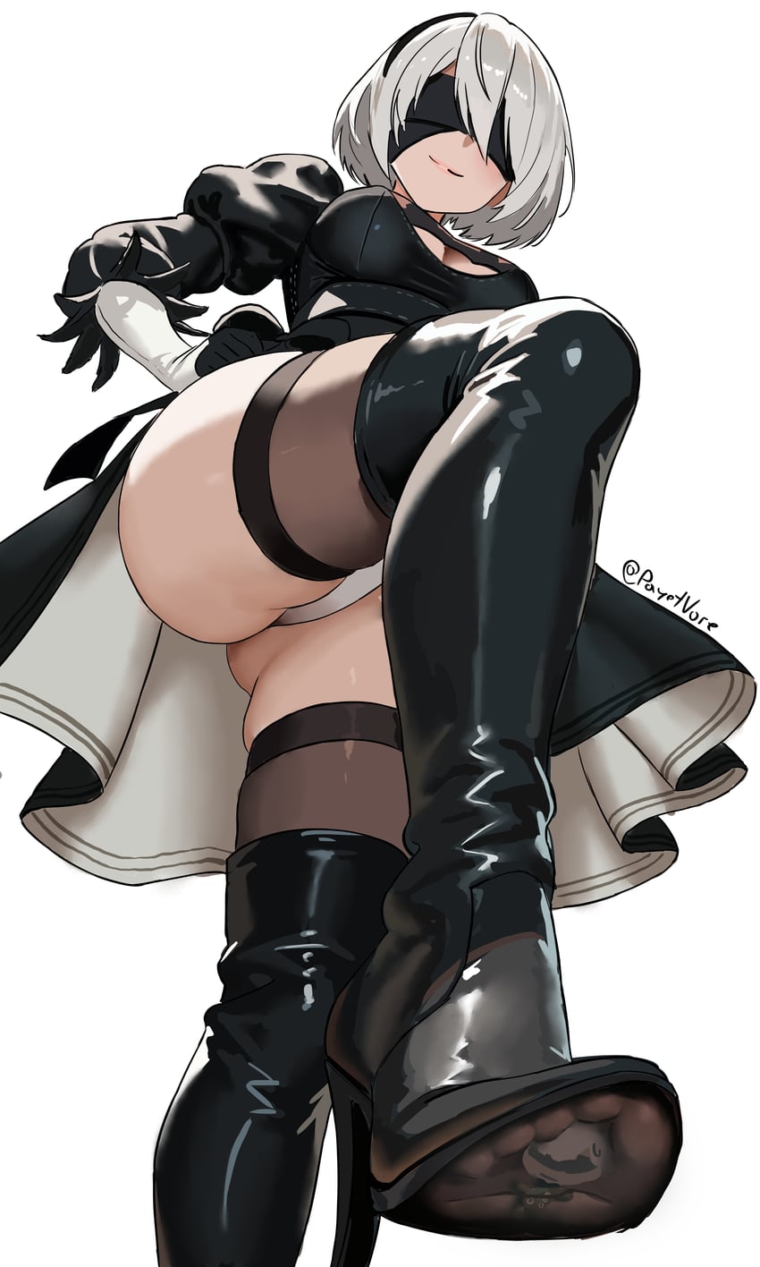 2b and 9s (nier and 1 more) drawn by payetvore