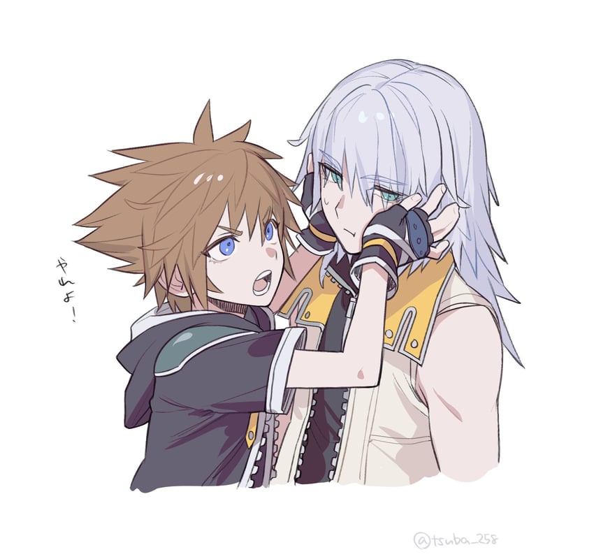 sora and riku (kingdom hearts and 1 more) drawn by tsuba_258