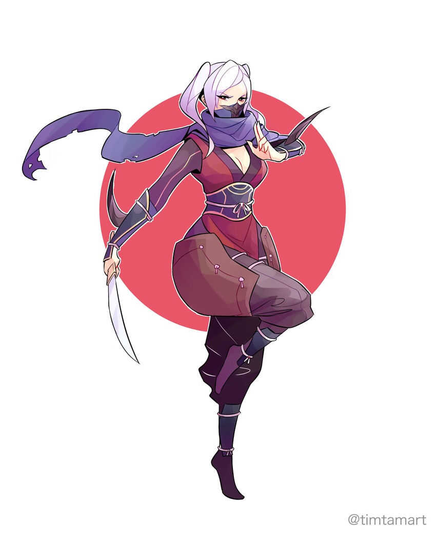 female robin and saizo (fire emblem and 3 more) drawn by timtam