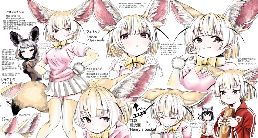 common raccoon, fennec, and bat-eared fox (kemono friends) drawn by akegata_tobari