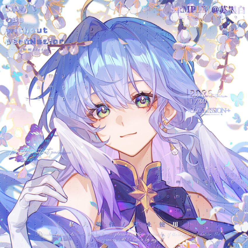 robin (honkai and 1 more) drawn by laobaijintian_buhuahua