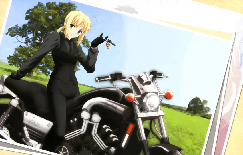 artoria pendragon, saber, and saber lion (fate and 3 more) drawn by nagamori_masato