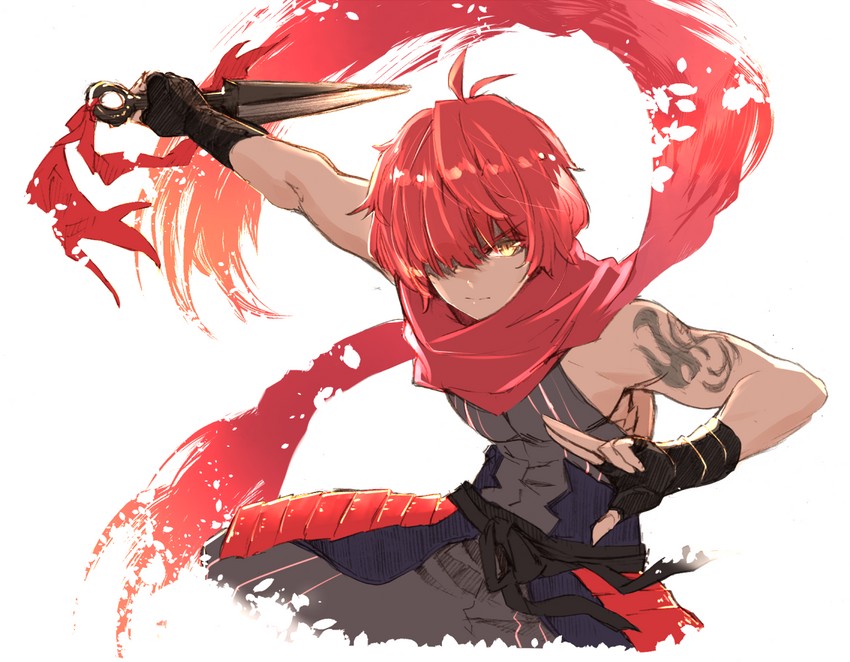 fuuma kotarou (fate and 1 more) drawn by hayadai