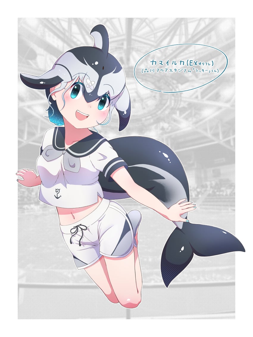pacific white-sided dolphin (original and 1 more) drawn by luichan