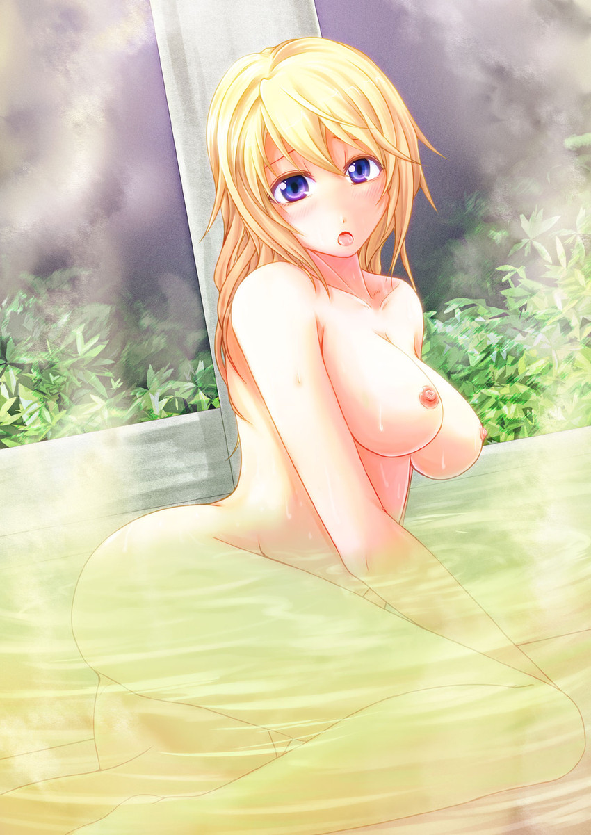 charlotte dunois (infinite stratos) drawn by jyun