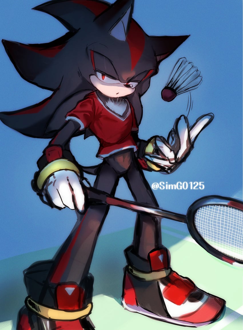shadow the hedgehog (sonic and 2 more) drawn by shapam_(zeepgalae)