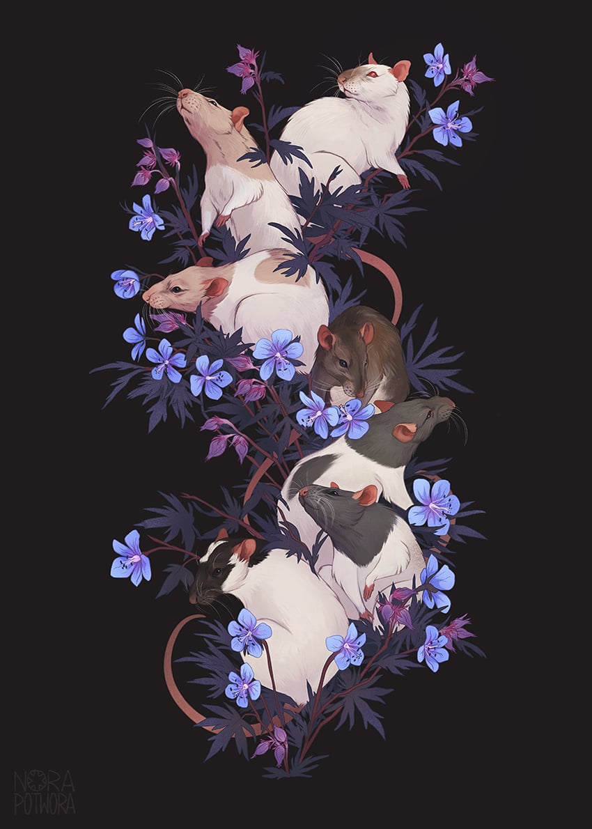 original drawn by norapotwora