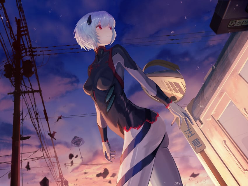 ayanami rei (neon genesis evangelion and 2 more) drawn by shigma