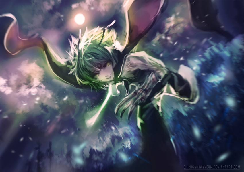 wriggle nightbug (touhou) drawn by shinigami_wyvern