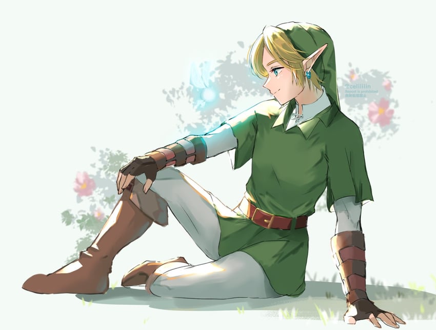 link (the legend of zelda and 1 more) drawn by seri_(yuukasakura)