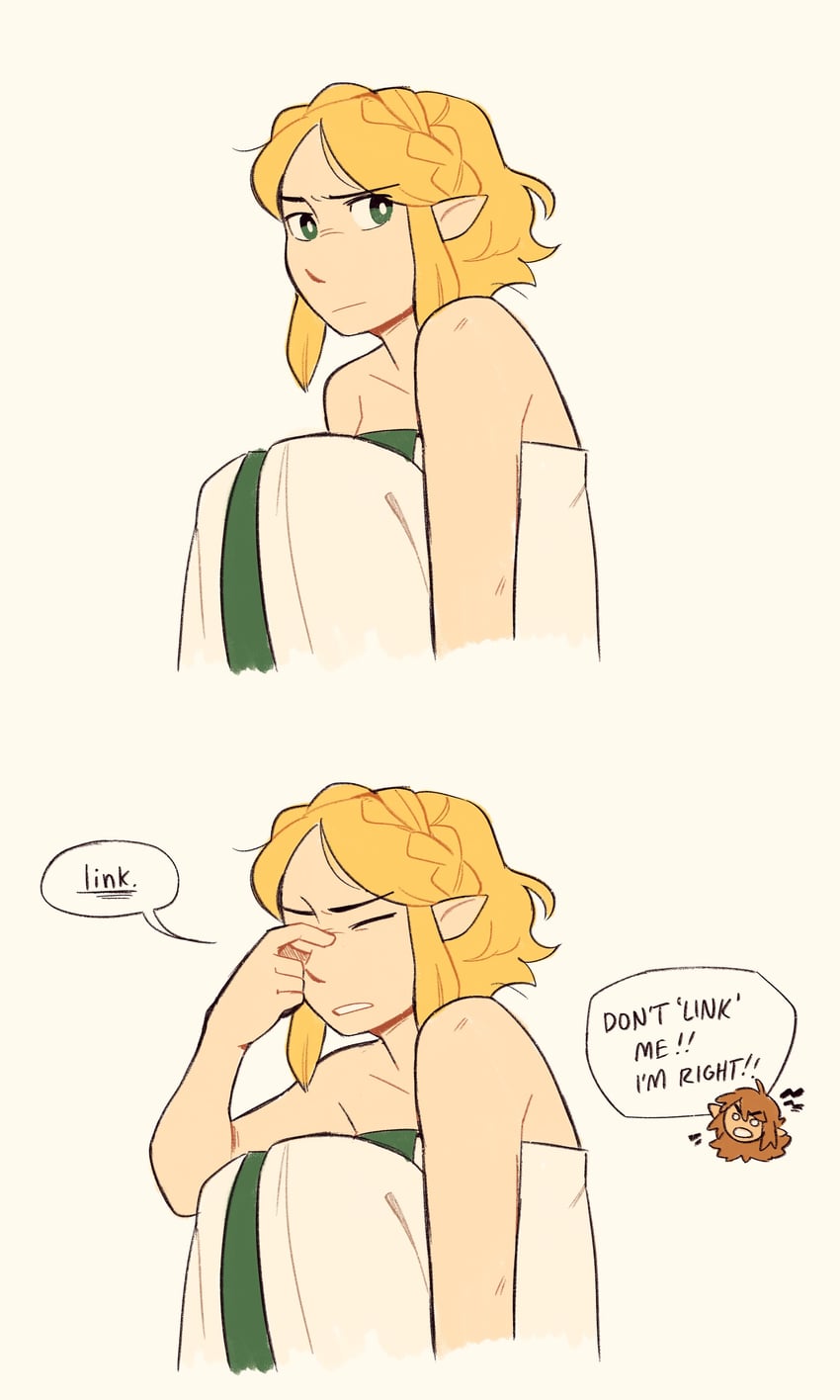 link and princess zelda (the legend of zelda and 1 more) drawn by orphetoon