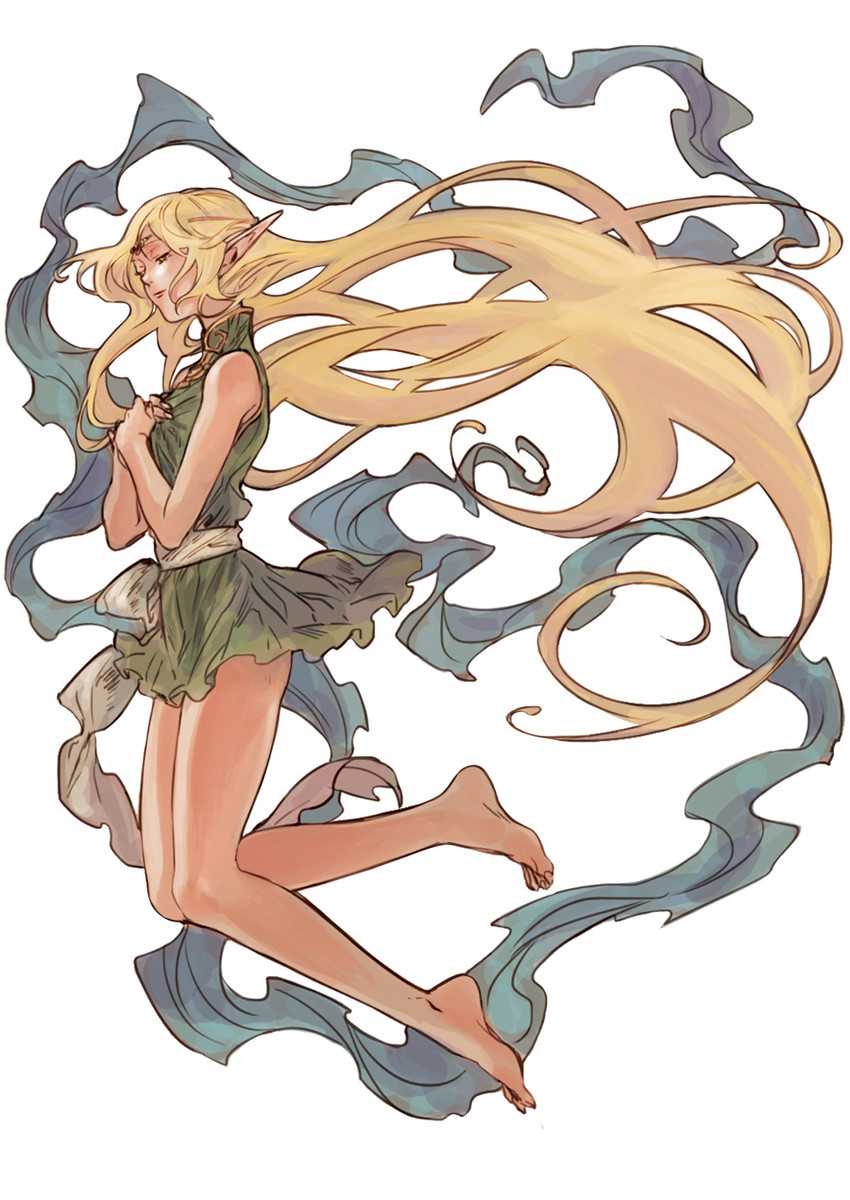deedlit (record of lodoss war) drawn by jeon9018