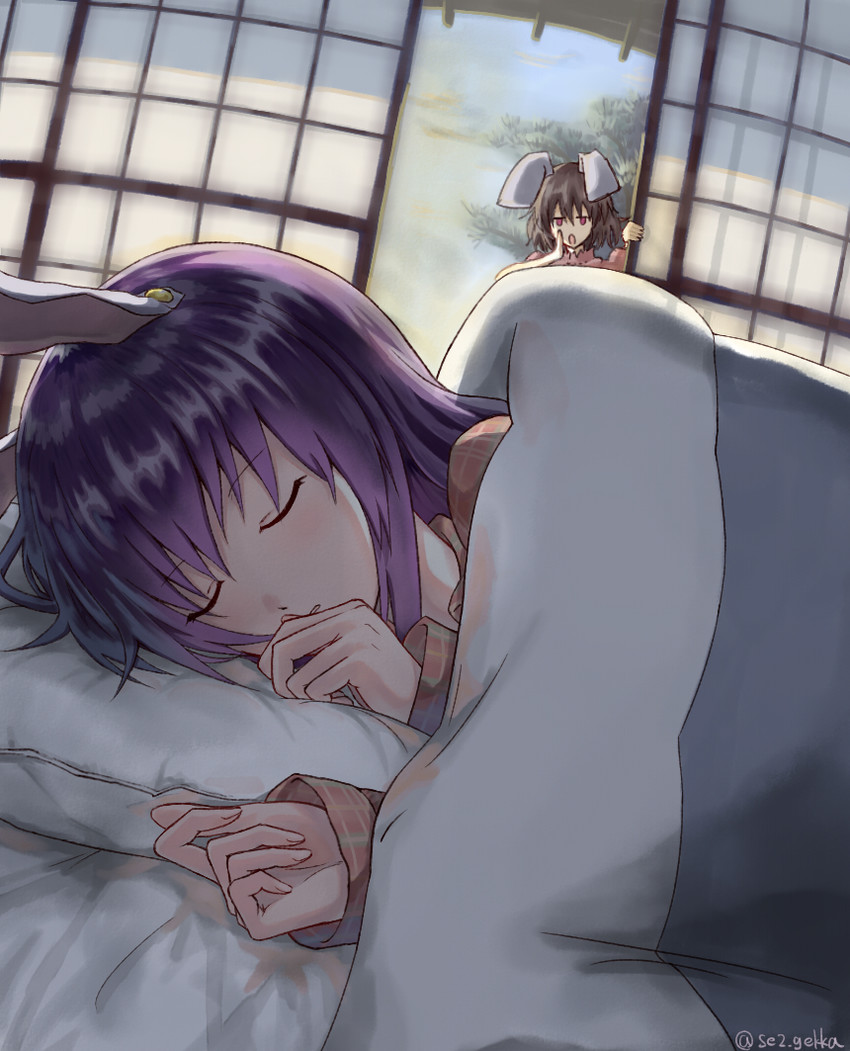 reisen udongein inaba and inaba tewi (touhou) drawn by setsuka_(okuna_sin)