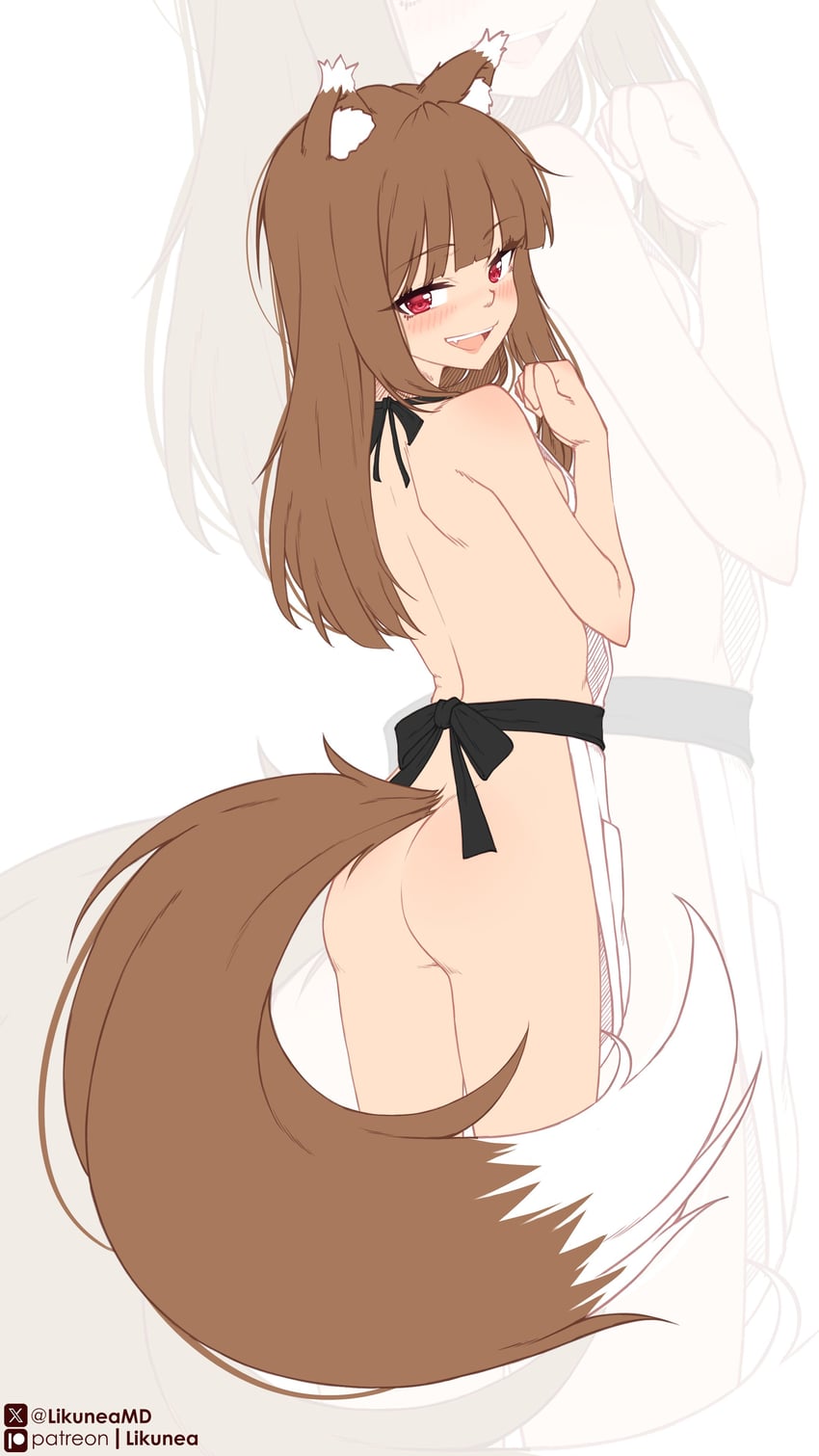 holo (spice and wolf) drawn by likunea