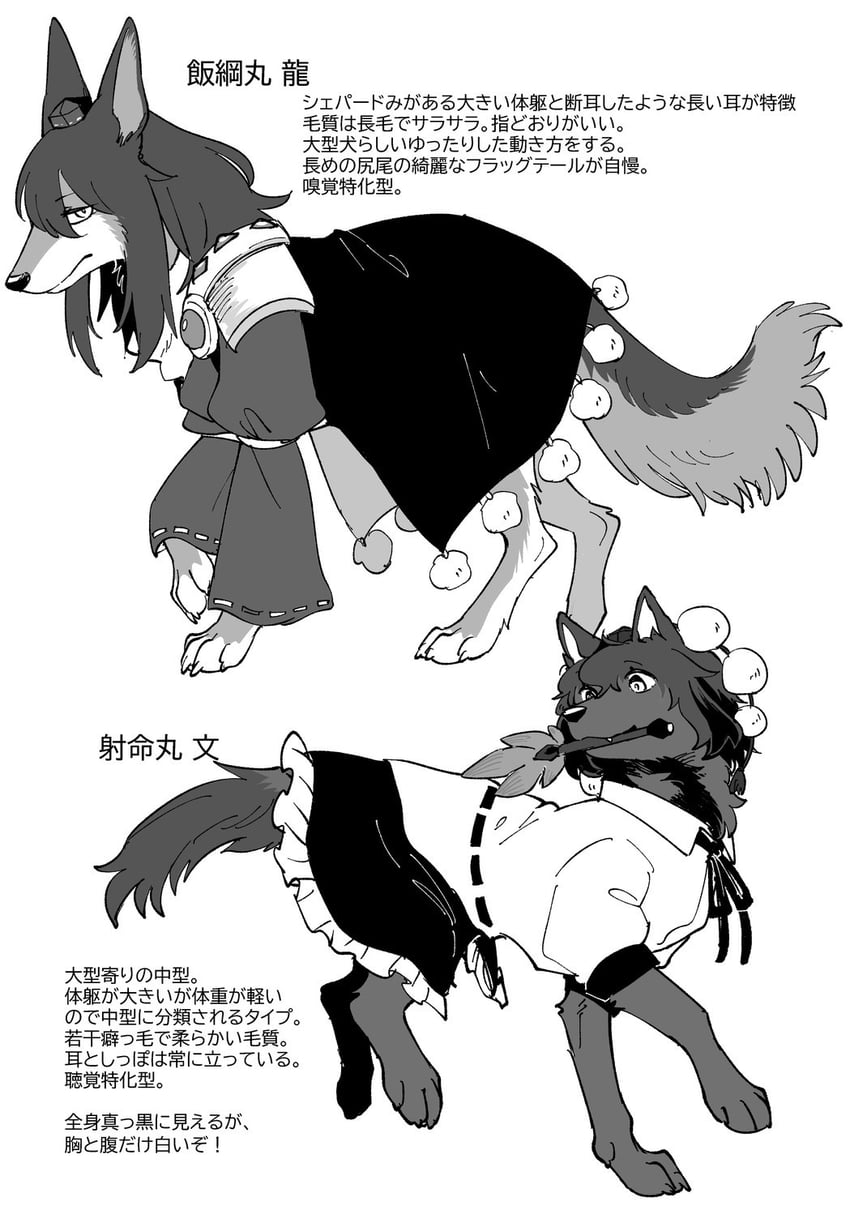 shameimaru aya and iizunamaru megumu (touhou) drawn by min.k
