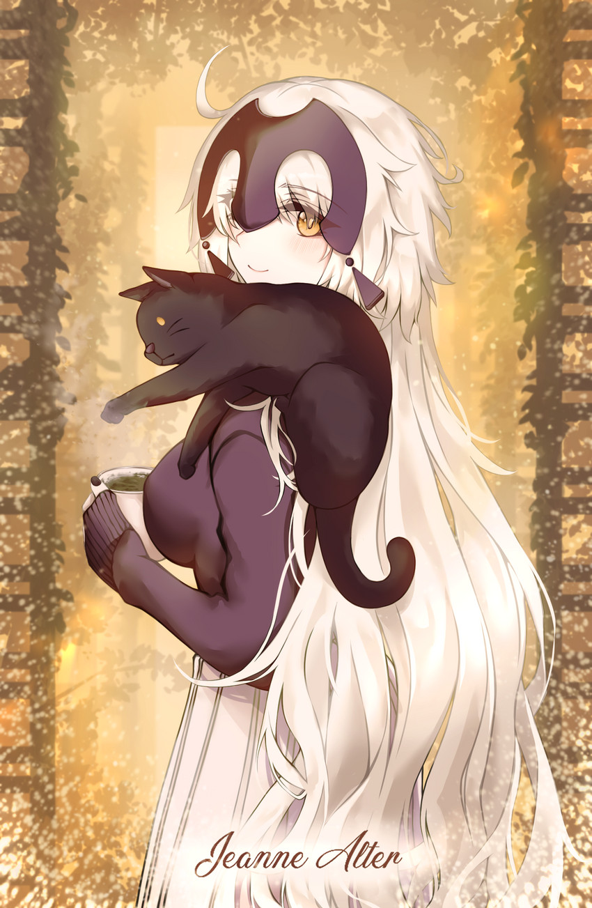 jeanne d'arc alter (fate and 1 more) drawn by blitz_predator