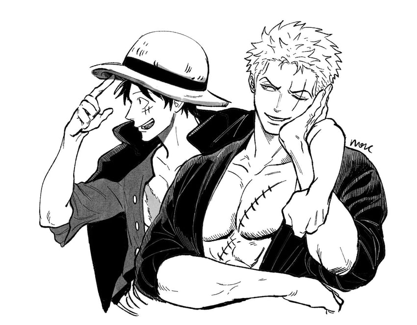 monkey d. luffy and roronoa zoro (one piece) drawn by nok_(nok_1)