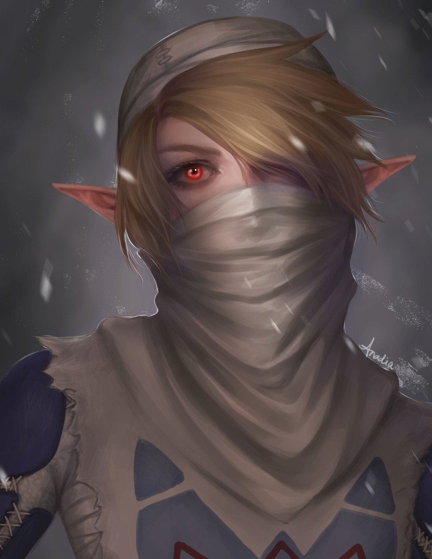 sheik (the legend of zelda and 1 more) drawn by anadia-chan